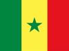 3077219-drapeau-senegalais-du-senegal-vectoriel