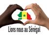 logo-lions-nous-au-Senegal