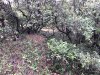 IMG-5126