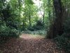 IMG-5342