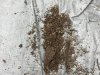 IMG-4867