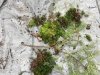 IMG-4868