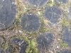 IMG-5023