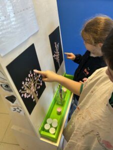 Le printemps arrive 🌹